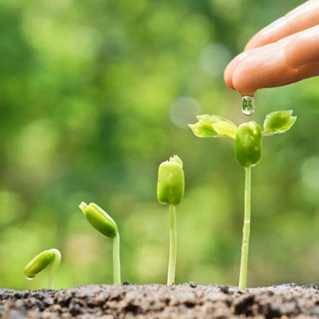 Bando Piattaforma Bioeconomia