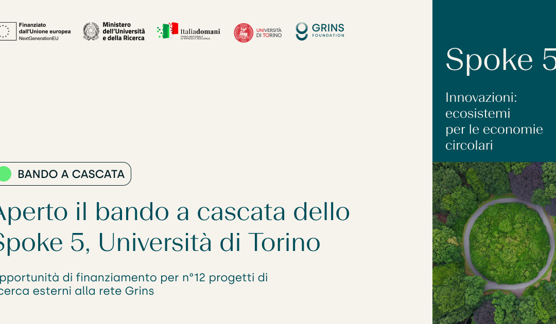 Bando Partenariato Esteso Grins: Spoke 5