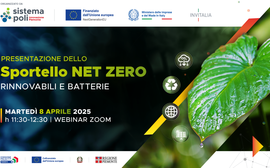 Webinar “Sportello Net Zero – Rinnovabili e batterie”
