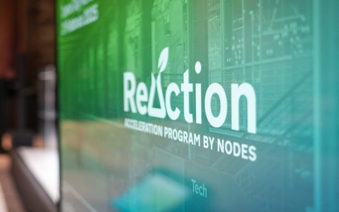 ReAction accelera l’innovazione sostenibile