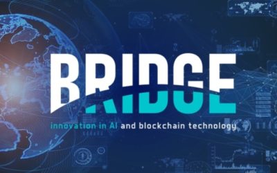 Sustainable Business Performance: matchmaking in Romania