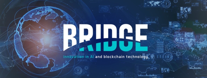 Sustainable Business Performance: matchmaking in Romania