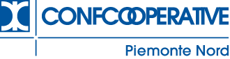 Logo_CCI_Piemonte-Nord_web_BLU-1