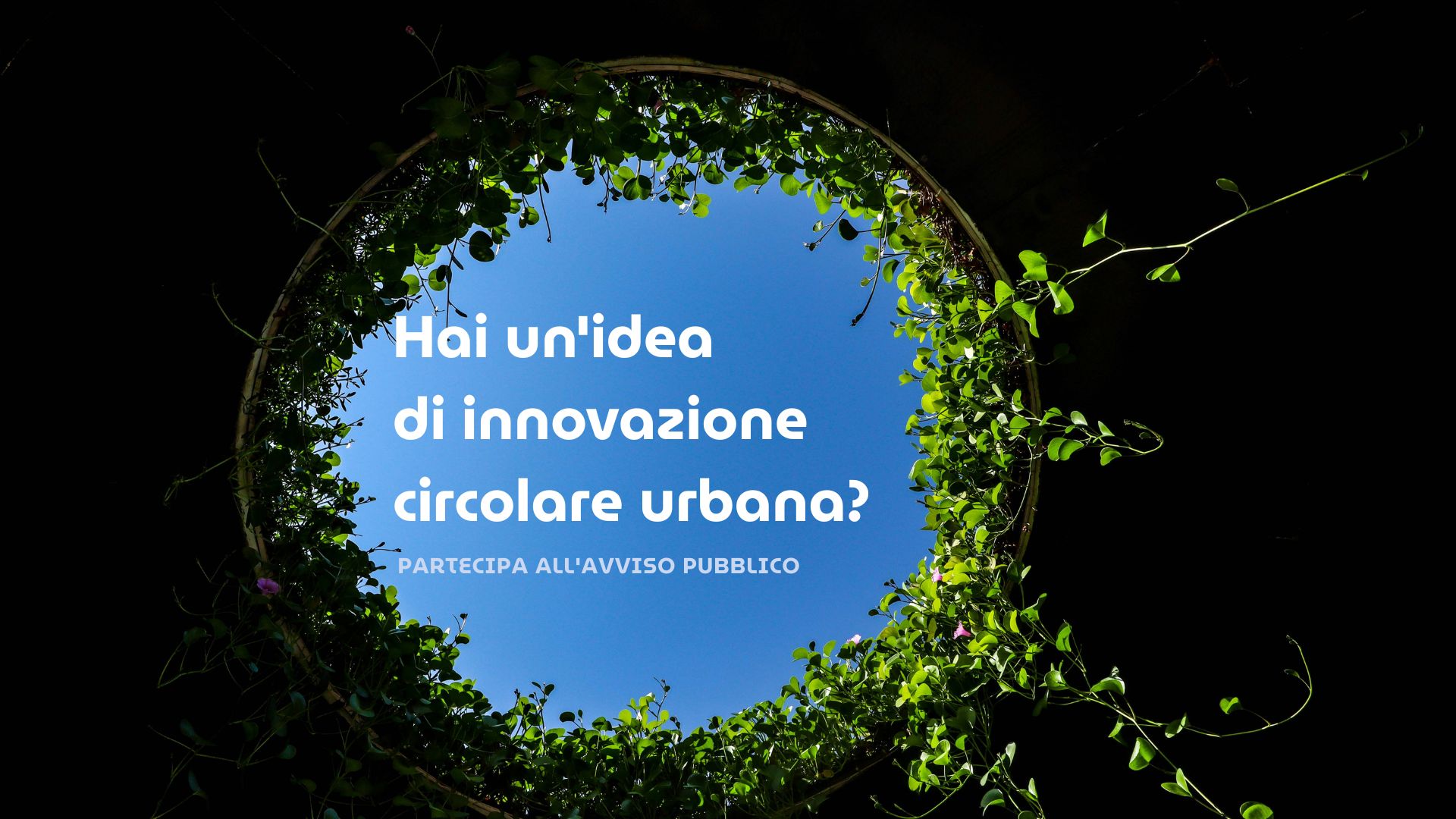 Senza titolo (110 x 110 px) (1000 x 1000 px) (Presentazione)